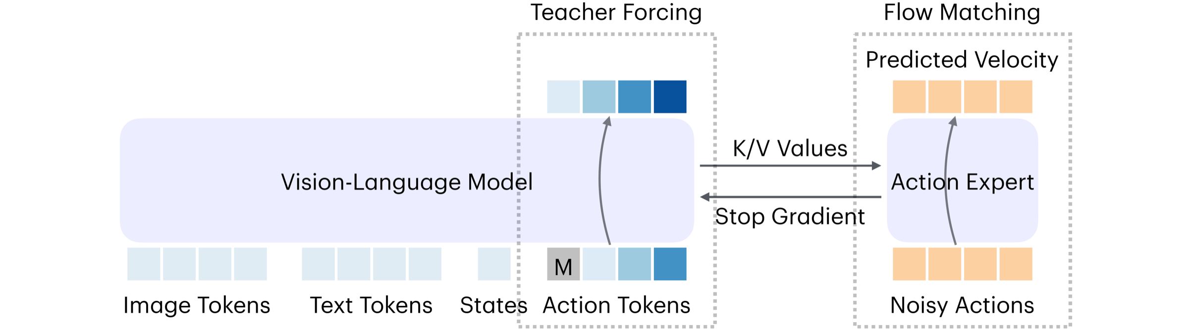 带 VLM token loss 和 flow-matching action expert 的 token co-training